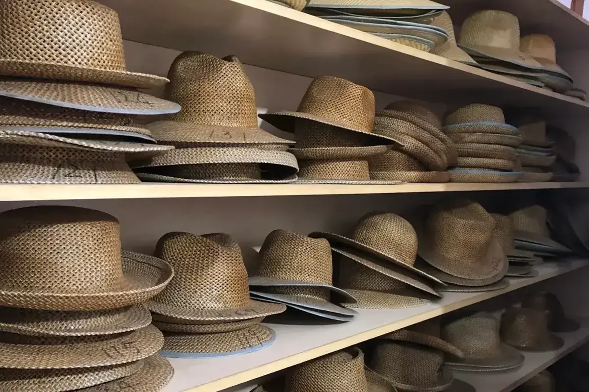 Open-weave cowboy hat bodies arranged on sample-room shelves
