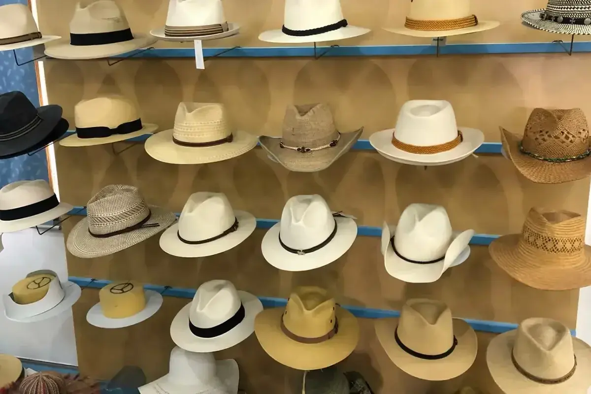 Cowboy and Western hat samples displayed for profile selection