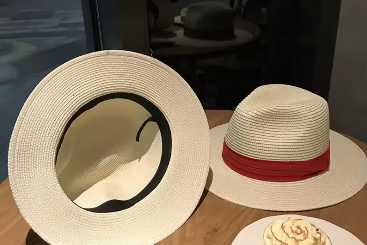 Inside view of a straw hat showing the sweatband and adjustment cord