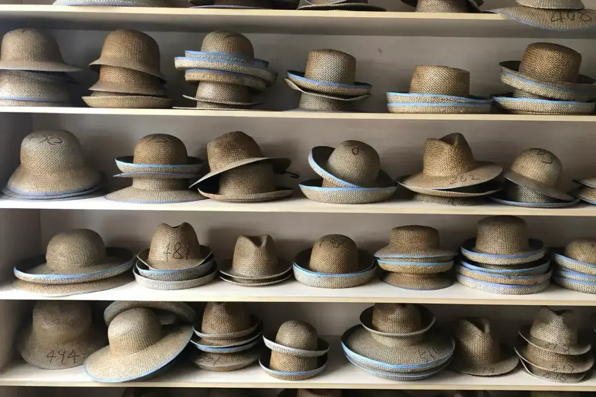 Panama-style hat bodies showing different crown and brim profiles