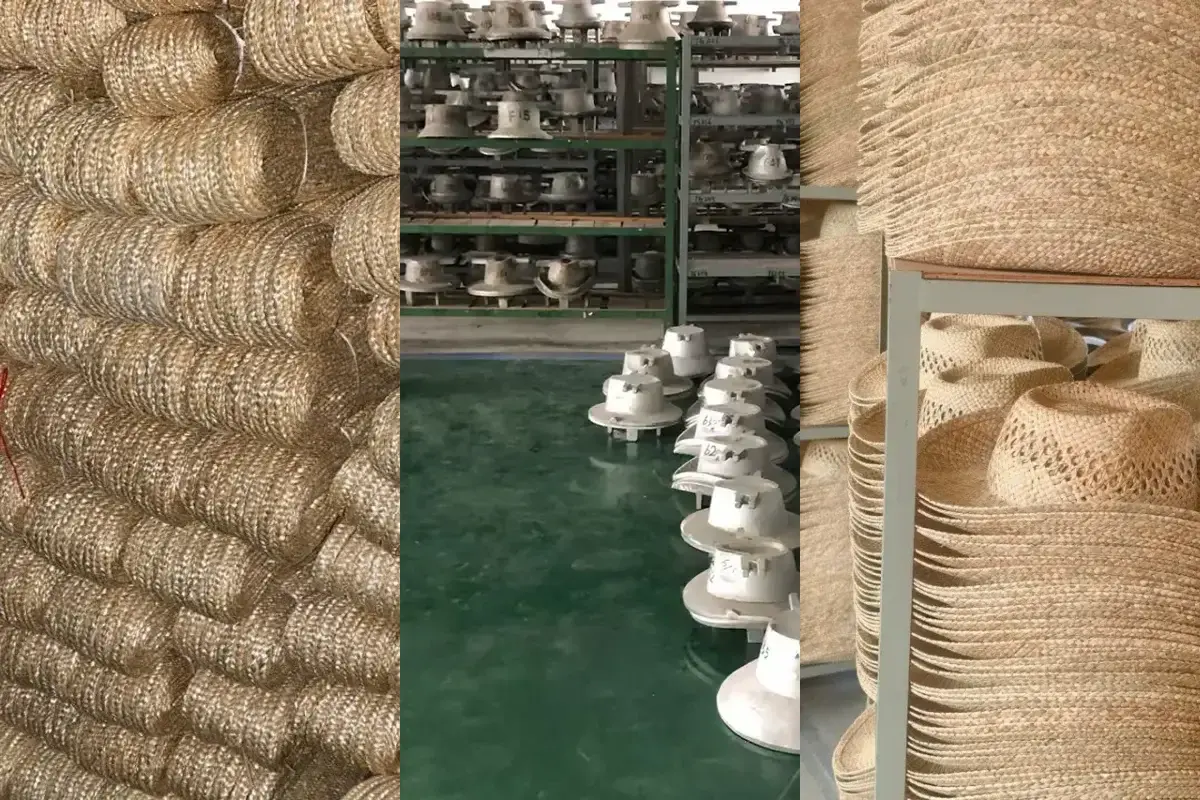 Natural straw coils, factory shaping equipment, and organized straw hat bodies